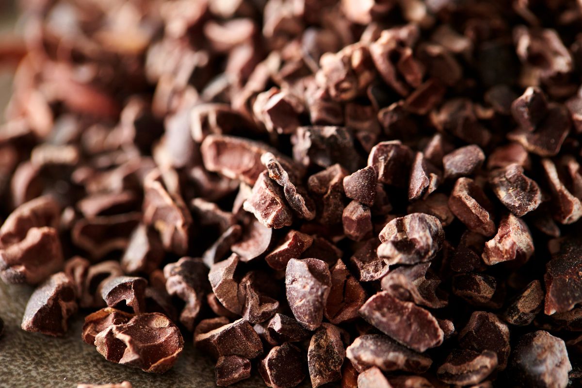 A close up of a pile of roasted cacao nibs